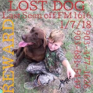 Meet your Posher, Robyn